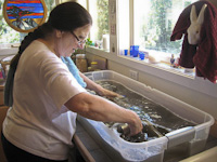 Halie Cleaning Pipes